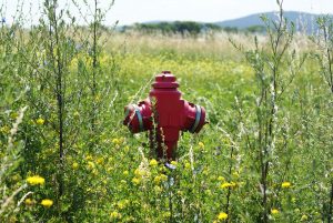 fire-hydrant-1278770_1920