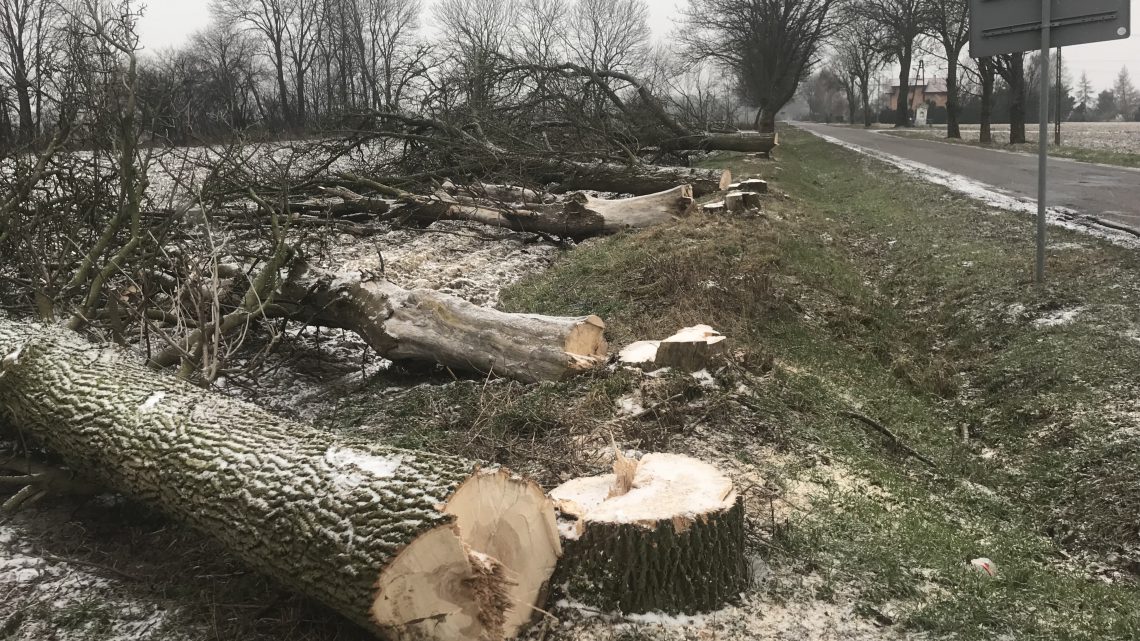 Sprawa chodnika wzdłuż DW 888 czyli ulicy Kujawskiego