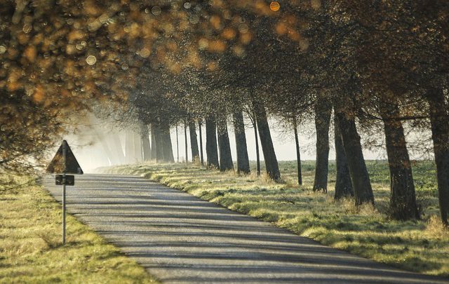 Kujawskiego – poprawa bezpieczeństwa